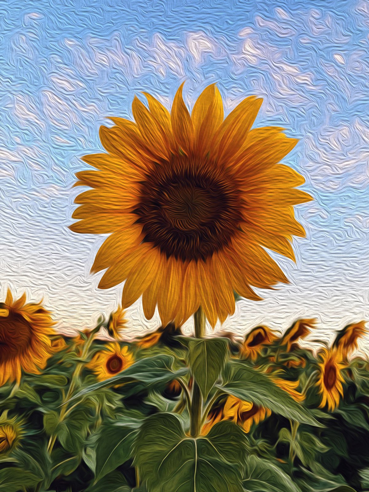 Expressive Sunflowers Bloom on Vibrant Open-Impressionist Canvases